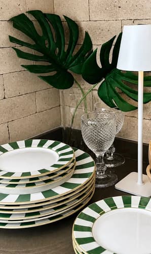 Jogo De Jantar Stripe 30 Pçs Com Xícara 6 Pessoas Verde Stripe
